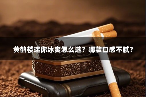黄鹤楼迷你冰爽怎么选？哪款口感不腻？