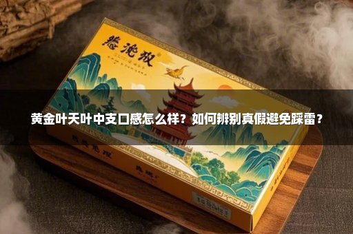 黄金叶天叶中支口感怎么样？如何辨别真假避免踩雷？